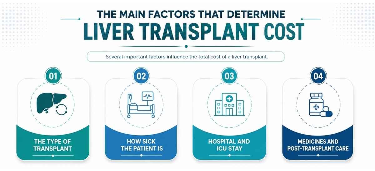 liver translpant cost factors